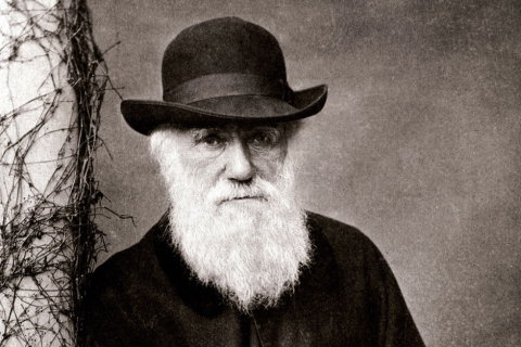 Contemporâneos de Darwin